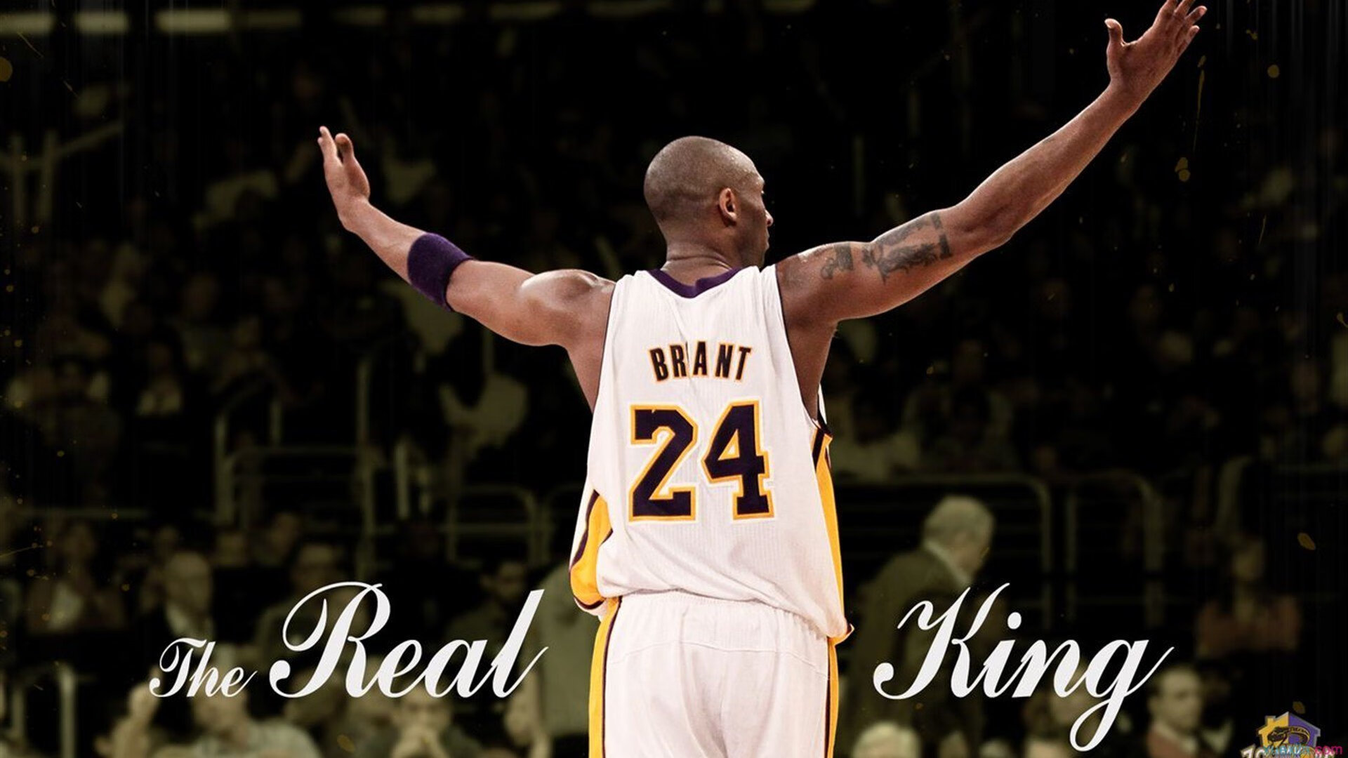 爱游戏-拉亚生涯之夜铸就传奇，尼日利亚爆冷击碎澳大利亚篮球梦